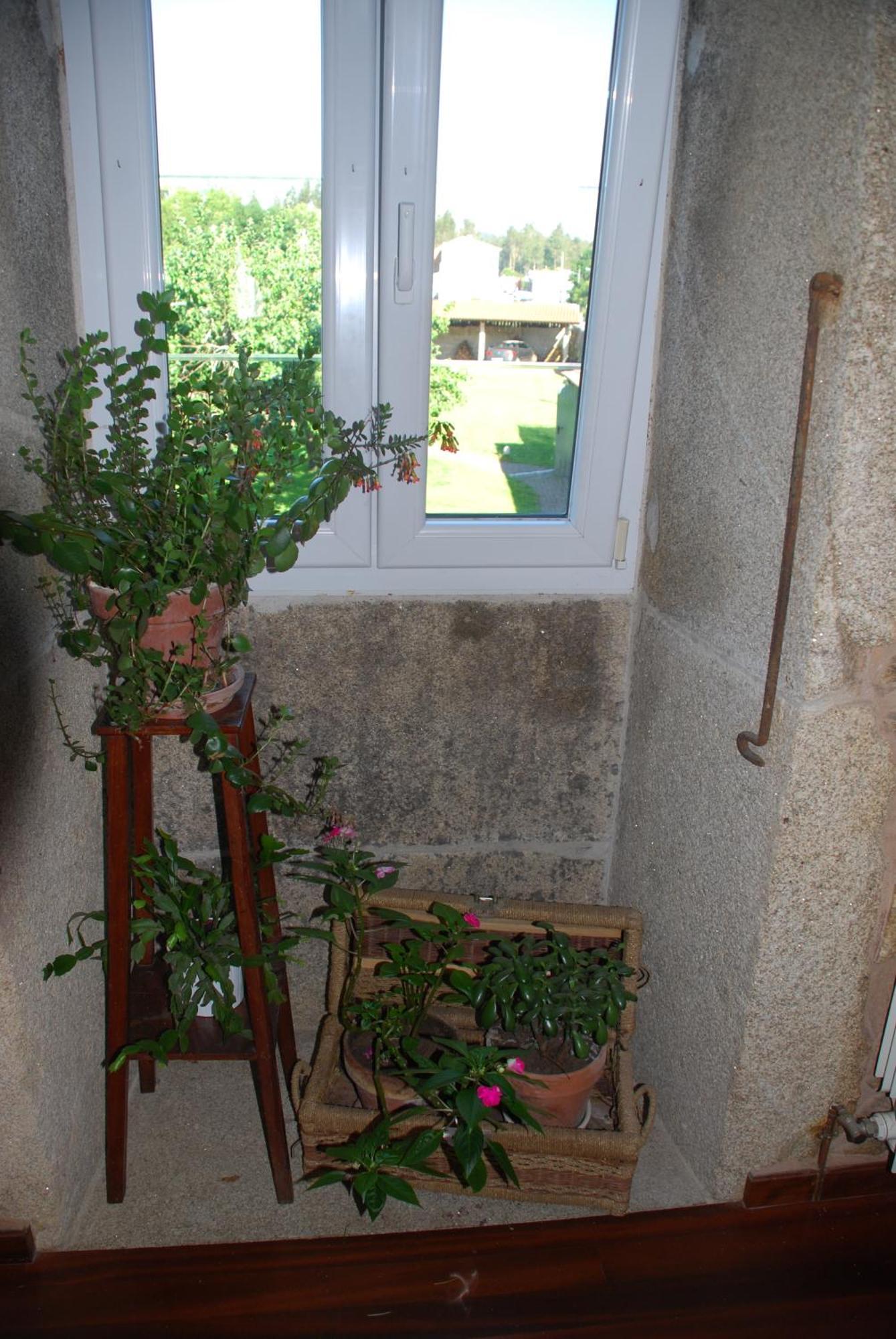 Baio  Hotel Rustico Casa Do Vento מראה חיצוני תמונה